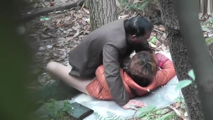 Chinese Daddy Forest 33