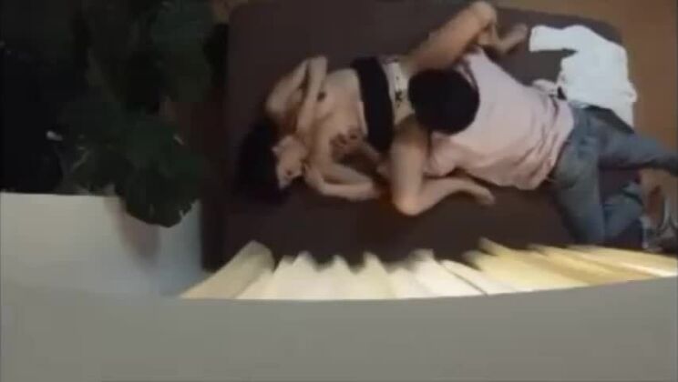 Hidden picture of Nanpa